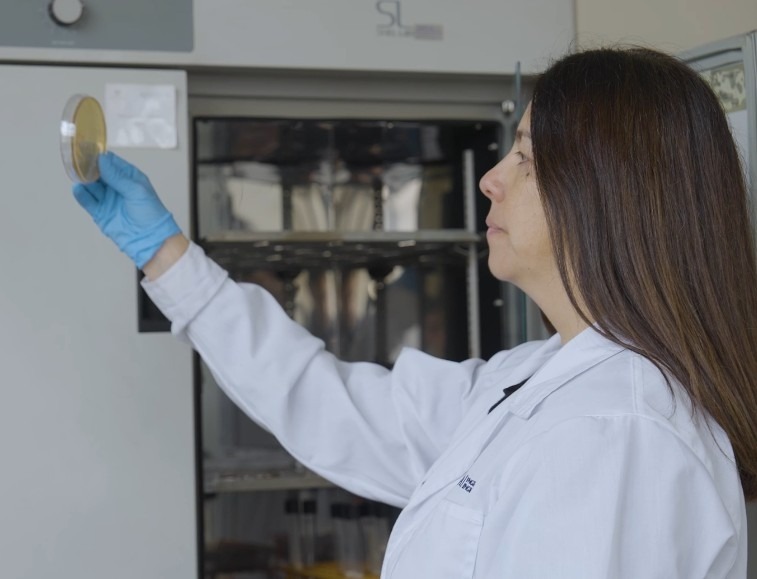 Innovación USM transforma la manzana en un snack de etiqueta limpia para un envejecimiento saludable Innovación USM transforma la manzana en un snack de etiqueta limpia para un envejecimiento saludable